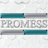 Promess, Inc.