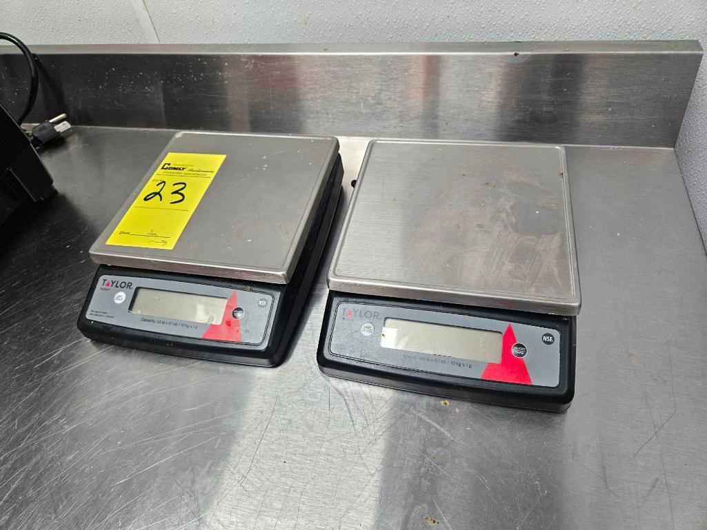 Taylor Digital Scale, 22lb x .1oz