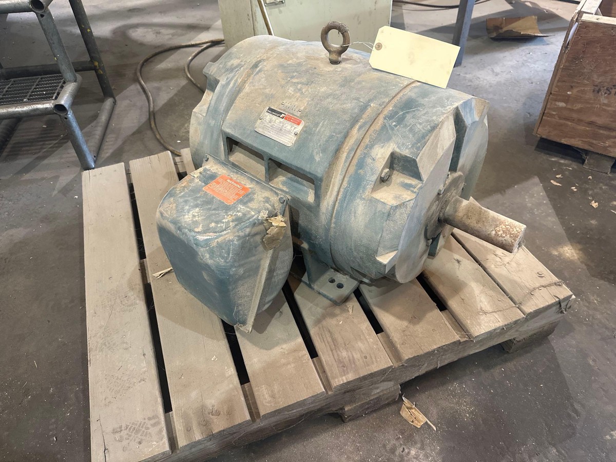 Large Heavy Duty Motor Reliance Duty Master AC Motor